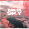 Birds In The Sky