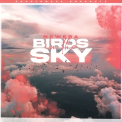 BIRDS IN THE SKY cover art