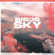 Birds In The Sky - NewEra