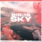 Birds In The Sky artwork