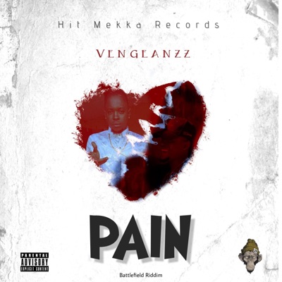 PAIN (feat. Vengeanzz) - Single