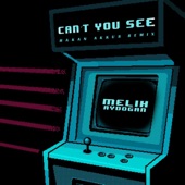 Can't You See (Hakan Akkus Remix) artwork