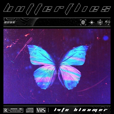 Butterflies - Single
