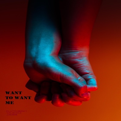 Want to Want Me - Single