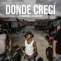 Donde Crecí - Single - Vizual Dealer, El Pinche Oso & Lil Samy Msc