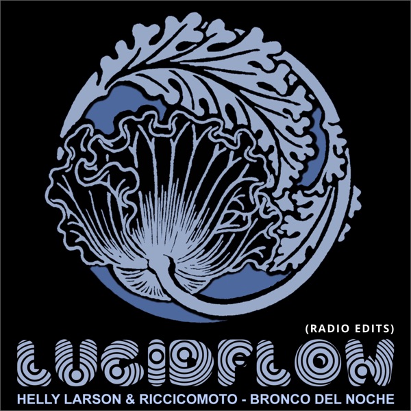 Bronco Del Noche (Radio Edits) - EP