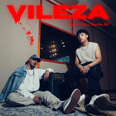 Vileza (feat. T-Morris) - Single