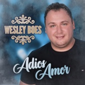 Adiós Amor artwork