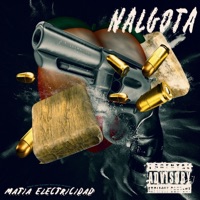 Nalgota (feat. Luxuryboi, Nysix Music, Wavybeats) - Single - Matia Electricidad