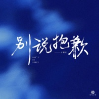 别说抱歉 - Single - 王若晴