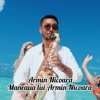 Maneaua lui Armin Nicoara - Single