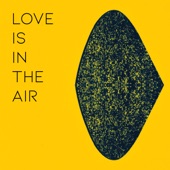Love Is In The Air artwork
