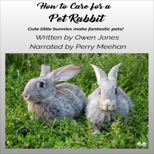 How to Care for a Pet Rabbit: Cute Little Bunnies Make Fantastic Pets! (How To...) (Unabridged) cover