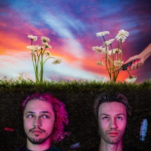Daisies - Single