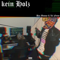 Kein Holz (feat. Lil Fetus) - Single - Bax Bunny