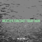Weather Forecast Today Rain artwork