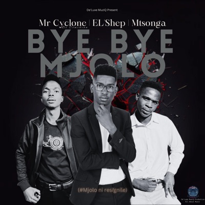 Bye Bye Mjolo - Single