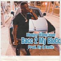 Bacc 2 My Block (feat. Q Tastic) - Single - BluejayWangTeam