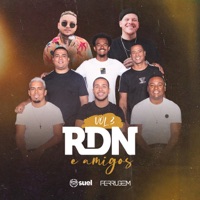 RDN & Amigos, Vol. 3 (feat. Suel & Ferrugem) - RDN