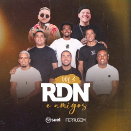 Eu Vacilei (feat. Suel & Ferrugem) RDN