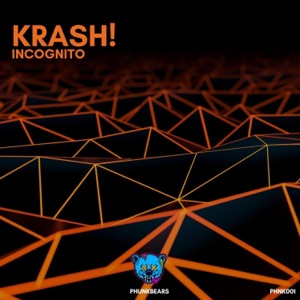 Incognito - Single