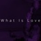 What Is Love (Speed) artwork
