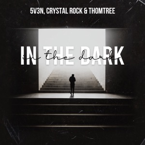 In the Dark (feat. Blaikz)