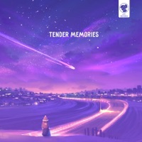 Tender Memories - EP - Lenny Loops & Hoffy Beats