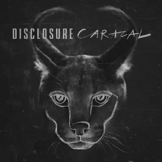 Jaded by Disclosure song reviws