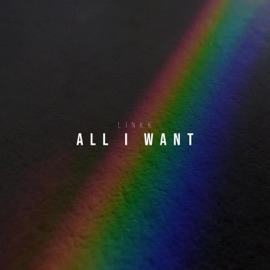 All I Want Linkk