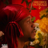 Payscale Freestyle - Single - Don Knock