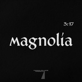 Magnolia II artwork