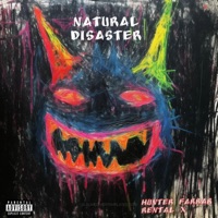 NATURAL DISAST3R (feat. rental x) - Single - Hunter Farrar