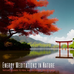 Energy Meditations in Nature - Nature Sounds to Heal and Recharge Mindfulness