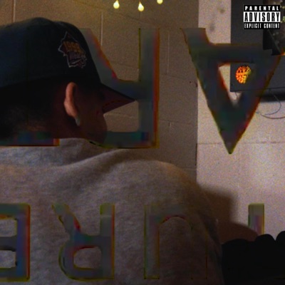 Pimp Anarchy - Single