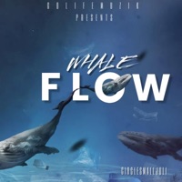 Whale Flow - Single - Circlesmall Juli