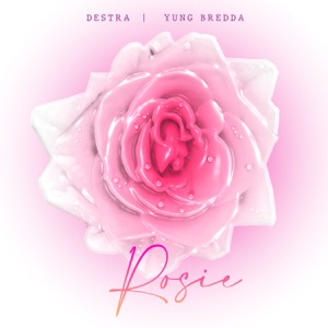 Destra & Yung Bredda - Rosie - 排舞 音乐