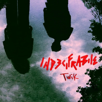 Indecifrabile - Twik