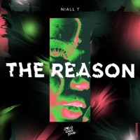 The Reason - Single - Niall T