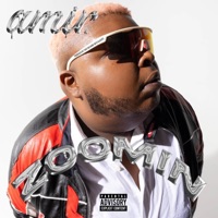 Zoomin (Extended Version) - Single - amir.