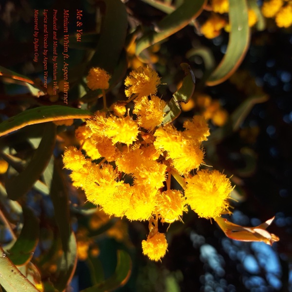 Me & You (feat. Aspen Warner)