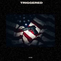 Triggered - Single - Hi-Rez