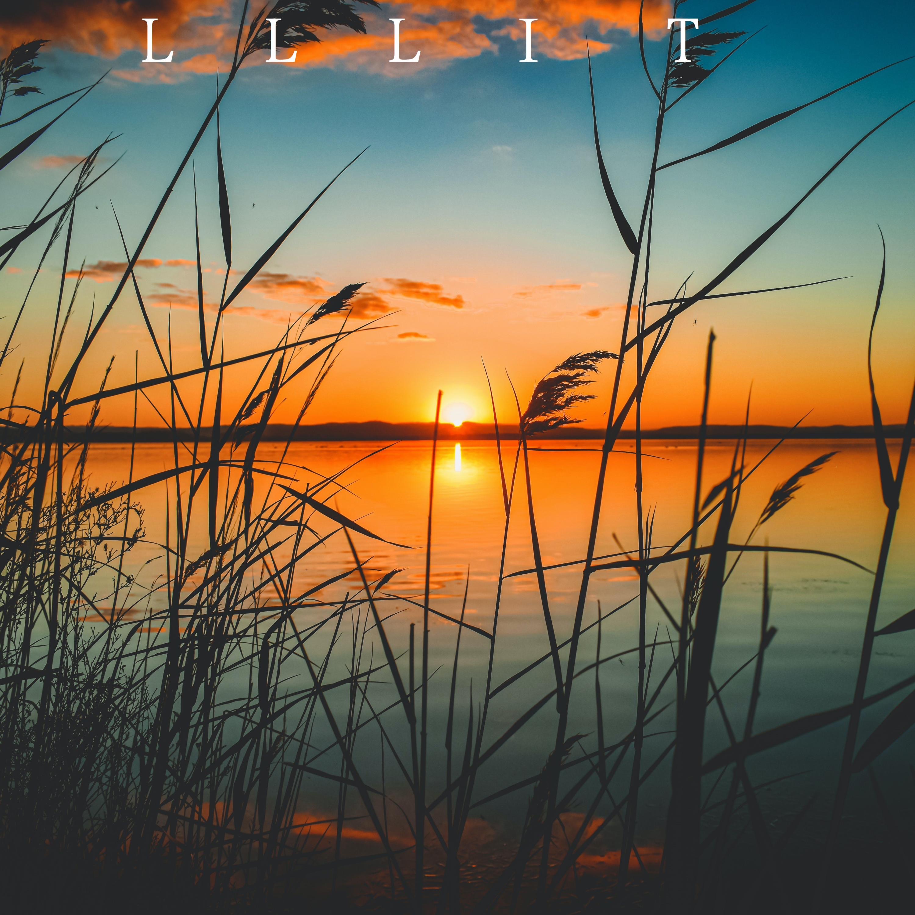 Vainilla Bean - Single