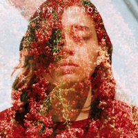 Sin Filtros (feat. Segetorius) - Single - Kartru
