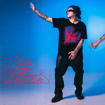 Volta Porque Eu Te Vejo em Todo Canto - EP