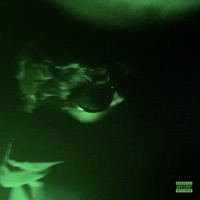 YSL - Single - guapanova