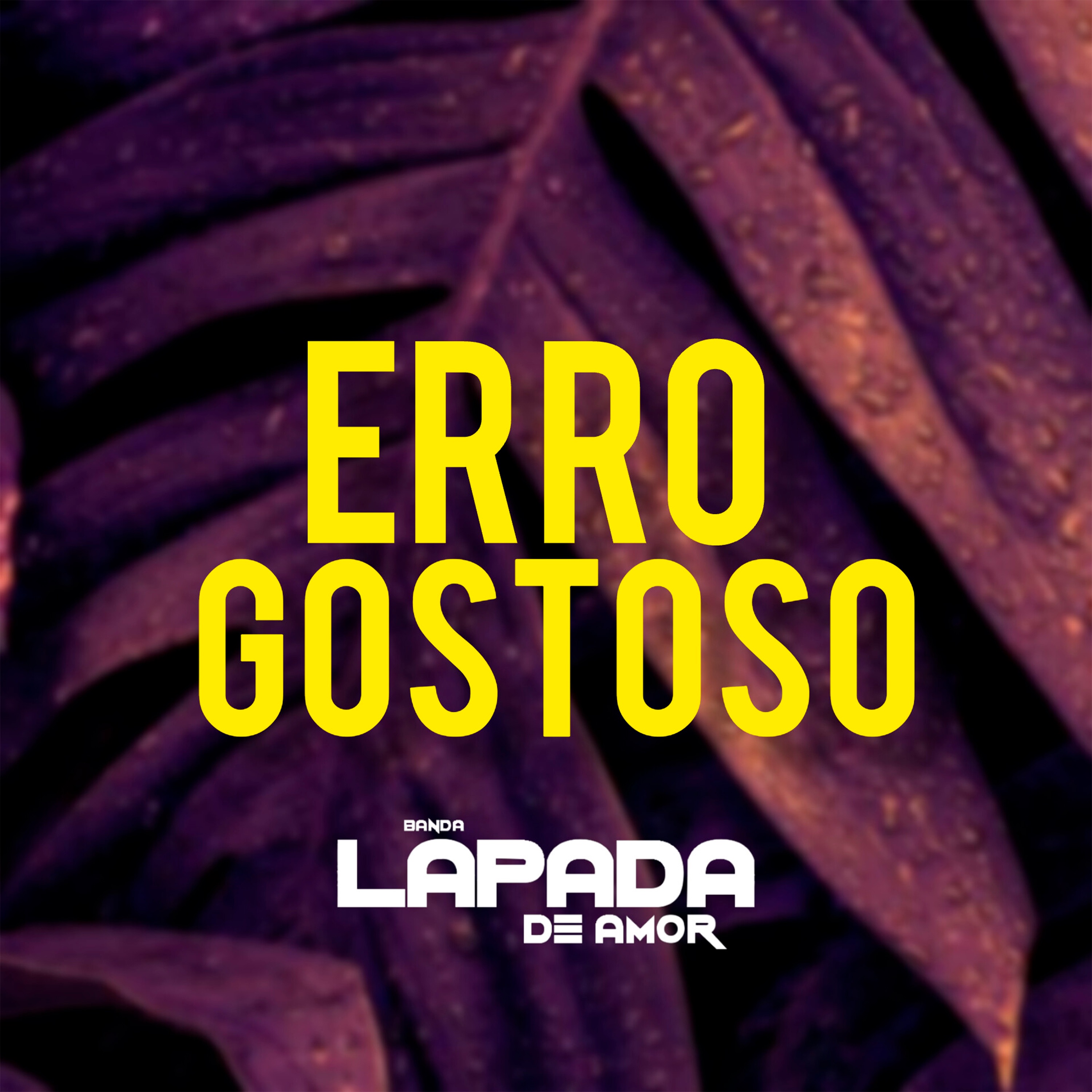 Erro Gostoso - Single