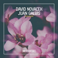 Akkadian - Single - David Novacek & Juan Galvis