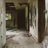 Let It Fall Here