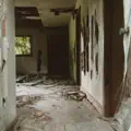 Let It Fall Here